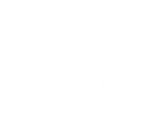 Stanchion ropes icon