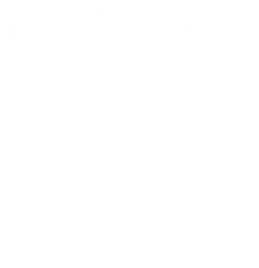 champagne glasses clinking icon